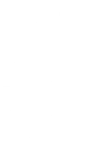 DISEÑa (1)