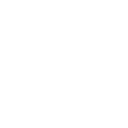 Icono Blanco